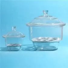 Glass Dessicator Plain ( Borosilicate )